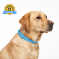 Calmsy Dog Calming Collar