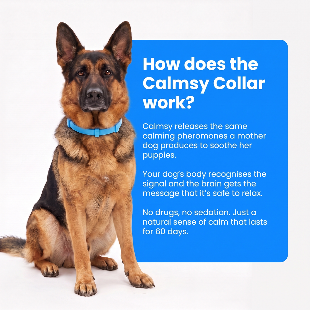 Calmsy Dog Calming Collar