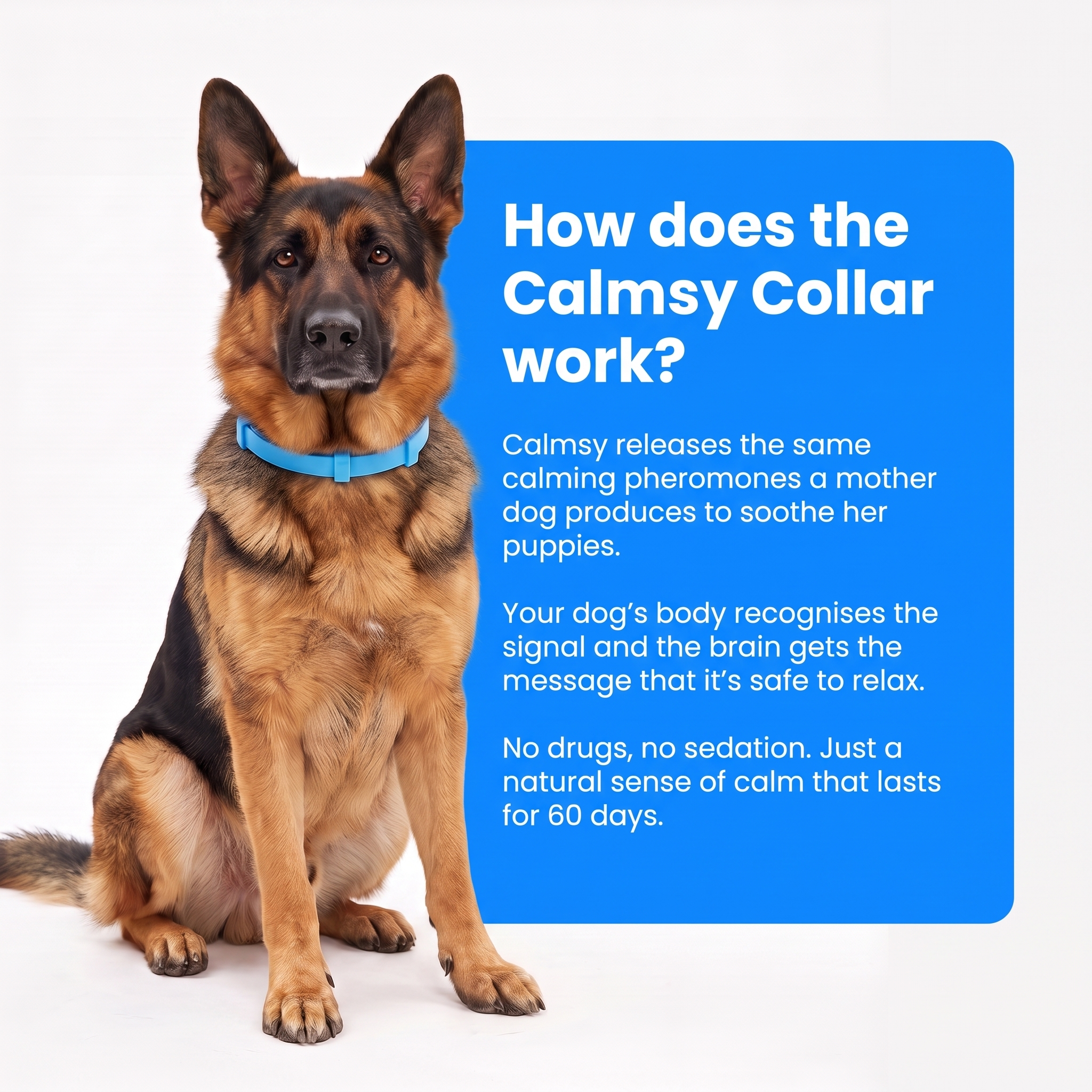 Calmsy Dog Calming Collar