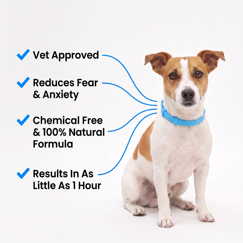 Calmsy Dog Calming Collar
