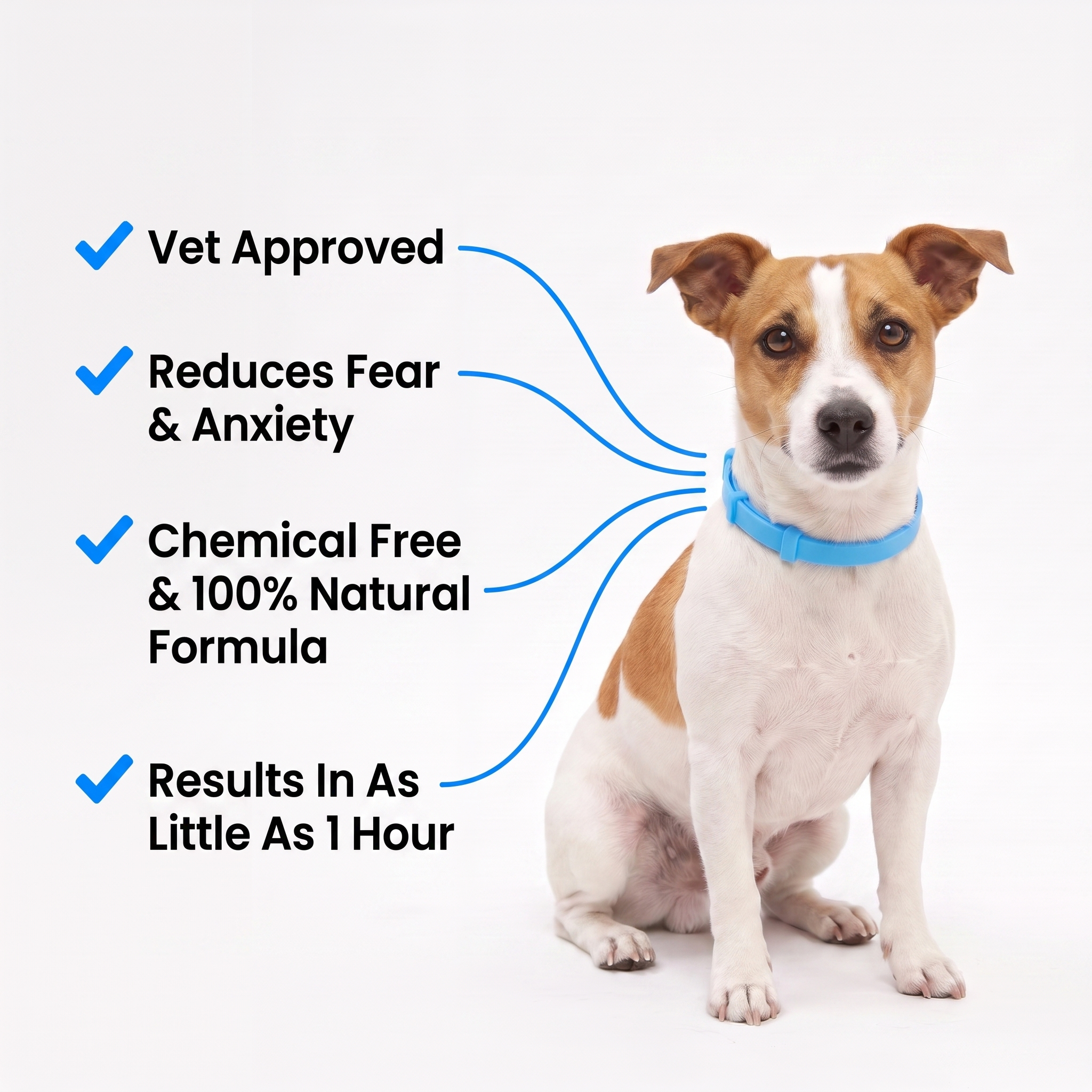 Calmsy Dog Calming Collar